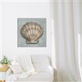 Picture of Vintage Shell I  _GroupedProduct_Square_Canvas_Framed_