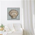 Picture of Vintage Shell I  _GroupedProduct_Square_Canvas_Framed_