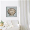 Picture of Vintage Shell I  _GroupedProduct_Square_Canvas_Framed_