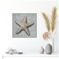 Picture of Vintage Shell II  _GroupedProduct_Square_Canvas_Framed_