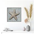 Picture of Vintage Shell II  _GroupedProduct_Square_Canvas_Framed_