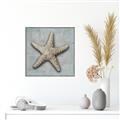 Picture of Vintage Shell II  _GroupedProduct_Square_Canvas_Framed_