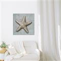 Picture of Vintage Shell II  _GroupedProduct_Square_Canvas_Framed_