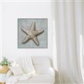 Picture of Vintage Shell II  _GroupedProduct_Square_Canvas_Framed_