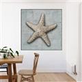 Picture of Vintage Shell II  _GroupedProduct_Square_Canvas_Framed_