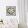 Picture of Vintage Shell I  _GroupedProduct_Square_Unframed_Print_Only_