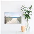 Picture of Grass and Sand  _GroupedProduct_Rectangle_Landscape_Unframed_Print_Only_