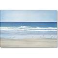 Picture of Birds on the Beach _GroupedProduct_Rectangle_Landscape_Canvas_