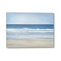 Picture of Birds on the Beach _GroupedProduct_Rectangle_Landscape_Canvas_