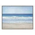 Picture of Birds on the Beach _GroupedProduct_Rectangle_Landscape_Canvas_Framed_