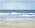 Picture of Birds on the Beach _GroupedProduct_Rectangle_Landscape_Unframed_Print_Only_