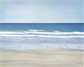 Picture of Birds on the Beach _GroupedProduct_Rectangle_Landscape_Unframed_Print_Only_