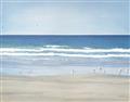 Picture of Birds on the Beach _GroupedProduct_Rectangle_Landscape_Unframed_Print_Only_