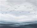 Picture of Flying Birds in the Sky   _GroupedProduct_Rectangle_Landscape_Unframed_Print_Only_