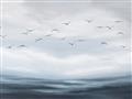Picture of Flying Birds in the Sky   _GroupedProduct_Rectangle_Landscape_Unframed_Print_Only_