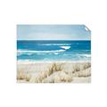 Picture of Coastal sea grass _GroupedProduct_Rectangle_Landscape_Unframed_Print_Only_