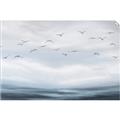 Picture of Flying Birds in the Sky   _GroupedProduct_Rectangle_Landscape_Unframed_Print_Only_