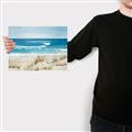 Picture of Coastal sea grass _GroupedProduct_Rectangle_Landscape_Canvas_