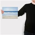 Picture of Birds on the Beach _GroupedProduct_Rectangle_Landscape_Canvas_