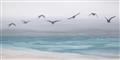 Picture of Silver Birds  _GroupedProduct_Rectangle_Landscape_Unframed_Print_Only_