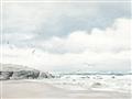 Picture of Birds on beach _GroupedProduct_Rectangle_Landscape_Unframed_Print_Only_