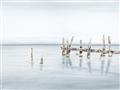 Picture of Quiet Lake _GroupedProduct_Rectangle_Landscape_Unframed_Print_Only_