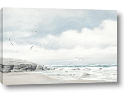 Picture of Birds on beach
