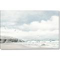 Picture of Birds on beach _GroupedProduct_Rectangle_Landscape_Canvas_