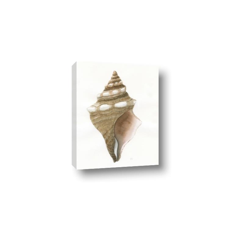 Picture of Sea Shell I _GroupedProduct_Rectangle_Portrait_Canvas_
