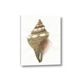 Picture of Sea Shell I _GroupedProduct_Rectangle_Portrait_Canvas_
