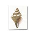 Picture of Sea Shell I _GroupedProduct_Rectangle_Portrait_Canvas_