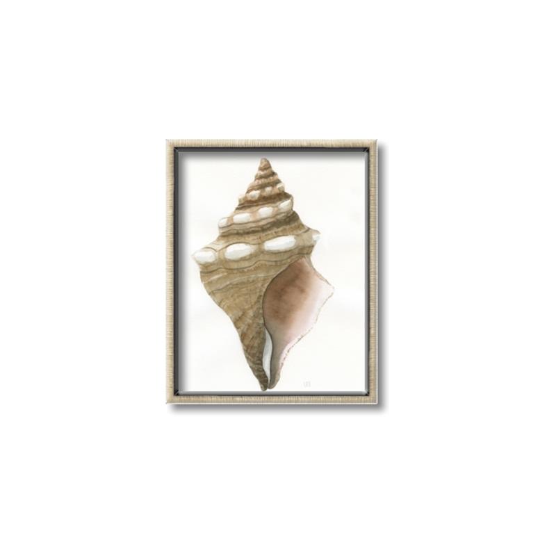 Picture of Sea Shell I _GroupedProduct_Rectangle_Portrait_Canvas_Framed_