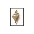 Picture of Sea Shell I _GroupedProduct_Rectangle_Portrait_Canvas_Framed_