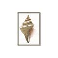 Picture of Sea Shell I _GroupedProduct_Rectangle_Portrait_Canvas_Framed_