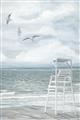 Picture of Lifeguard Chair _GroupedProduct_Rectangle_Portrait_Unframed_Print_Only_
