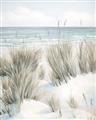 Picture of Seagrass II _GroupedProduct_Rectangle_Portrait_Unframed_Print_Only_
