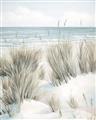 Picture of Seagrass II _GroupedProduct_Rectangle_Portrait_Unframed_Print_Only_