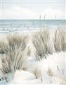 Picture of Seagrass II _GroupedProduct_Rectangle_Portrait_Unframed_Print_Only_