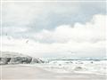 Picture of Birds on beach _GroupedProduct_Rectangle_Landscape_Unframed_Print_Only_