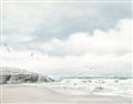 Picture of Birds on beach _GroupedProduct_Rectangle_Landscape_Unframed_Print_Only_