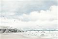 Picture of Birds on beach _GroupedProduct_Rectangle_Landscape_Unframed_Print_Only_