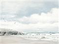 Picture of Birds on beach _GroupedProduct_Rectangle_Landscape_Unframed_Print_Only_