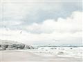 Picture of Birds on beach _GroupedProduct_Rectangle_Landscape_Unframed_Print_Only_