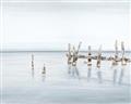 Picture of Quiet Lake _GroupedProduct_Rectangle_Landscape_Unframed_Print_Only_