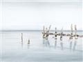 Picture of Quiet Lake _GroupedProduct_Rectangle_Landscape_Unframed_Print_Only_