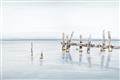 Picture of Quiet Lake _GroupedProduct_Rectangle_Landscape_Unframed_Print_Only_
