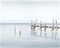Picture of Quiet Lake _GroupedProduct_Rectangle_Landscape_Unframed_Print_Only_