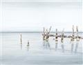Picture of Quiet Lake _GroupedProduct_Rectangle_Landscape_Unframed_Print_Only_