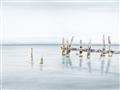 Picture of Quiet Lake _GroupedProduct_Rectangle_Landscape_Unframed_Print_Only_