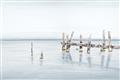 Picture of Quiet Lake _GroupedProduct_Rectangle_Landscape_Unframed_Print_Only_